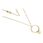 Lantisor aur 14K cu cerc si steluta DiAmanti PL0171NG14K-AS